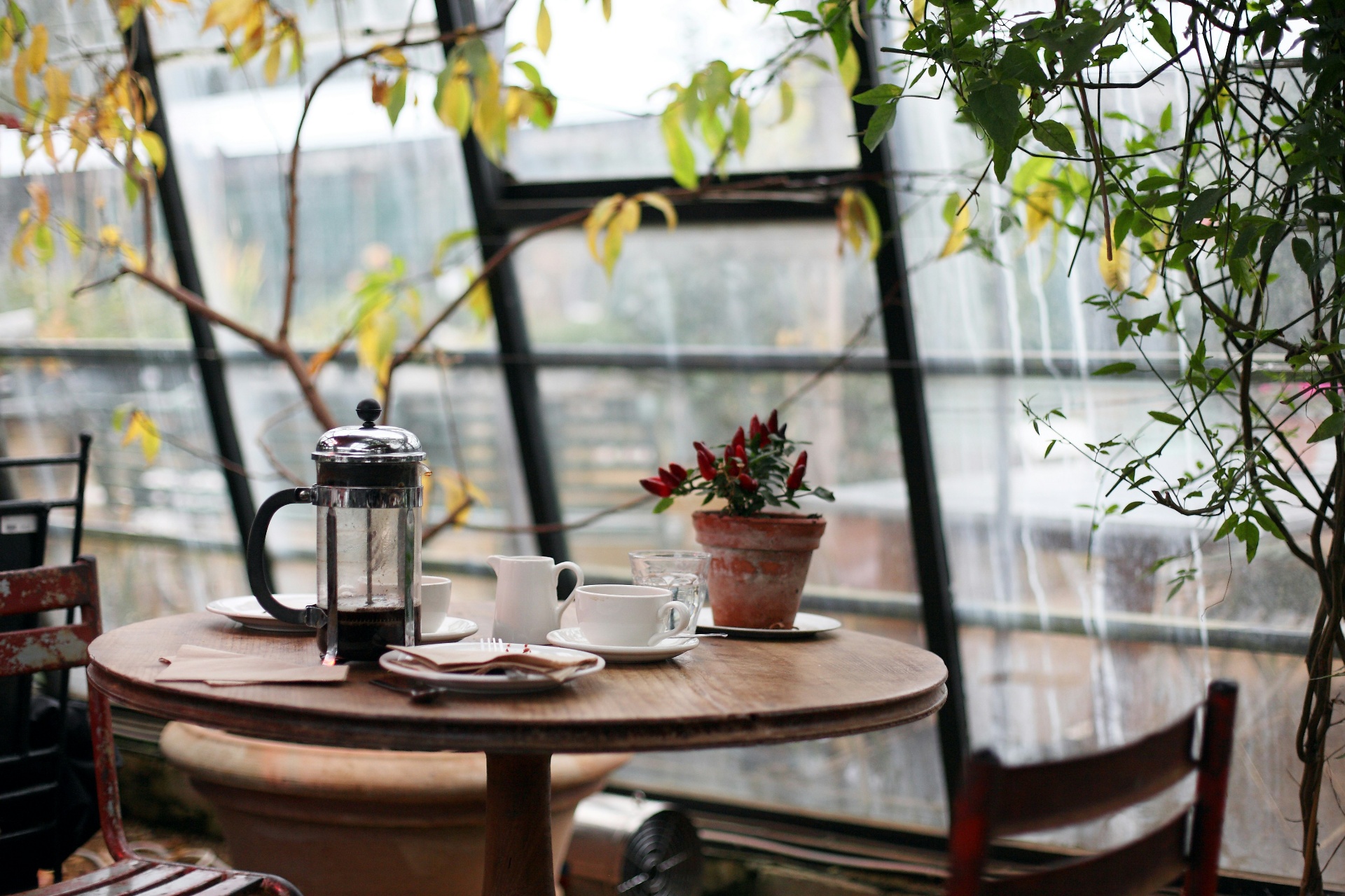 Food & Coffee